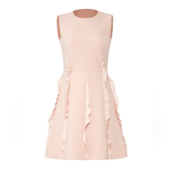 🪡 Valentino Pink Ruffle Skirt Dress, Sz 38 (US 2) - Picture 2 of 12